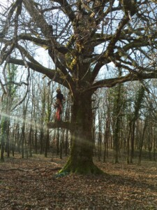 Chantier participatif janvier 2023